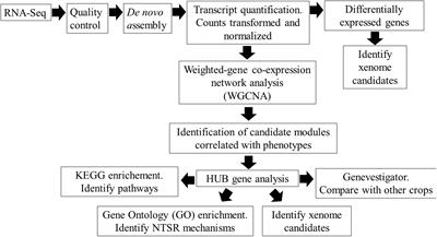 Non-target Site Herbicide Resistance Is Conferred by Two Distinct Mechanisms in Black-Grass (Alopecurus myosuroides)